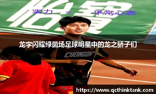 龙字闪耀绿茵场足球明星中的龙之骄子们